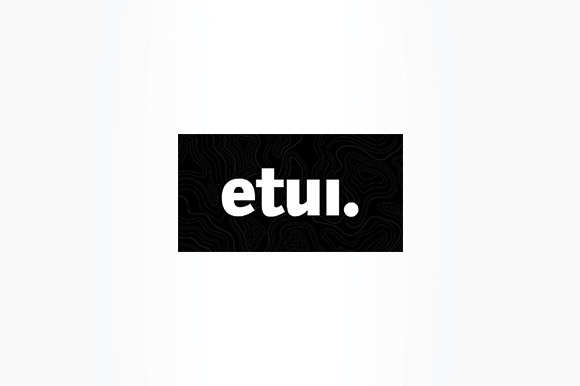 ETUI - EUROPEAN TRADE UNION INSTITUTE  -  BRUSSELS  BELGIUM