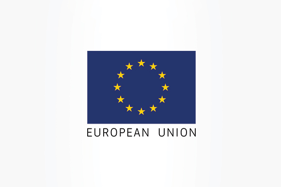 DELEGATION OF THE EUROPEAN UNION TO TURKEY