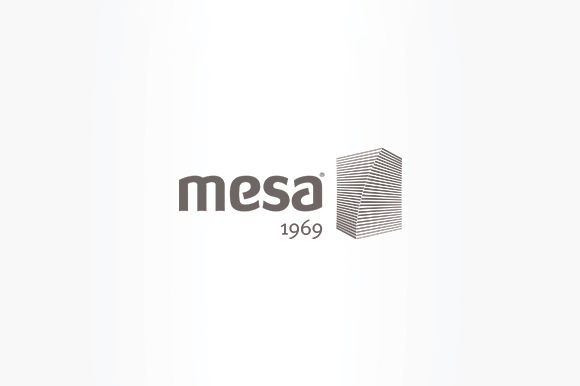 MESA HOLDING